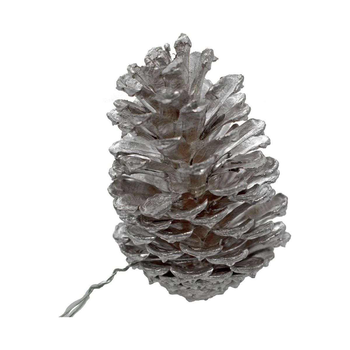 Shop For Silver Pine Cones (Set of 60)