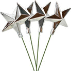 Shop For Silver Star Pick Ornaments, Set of 24