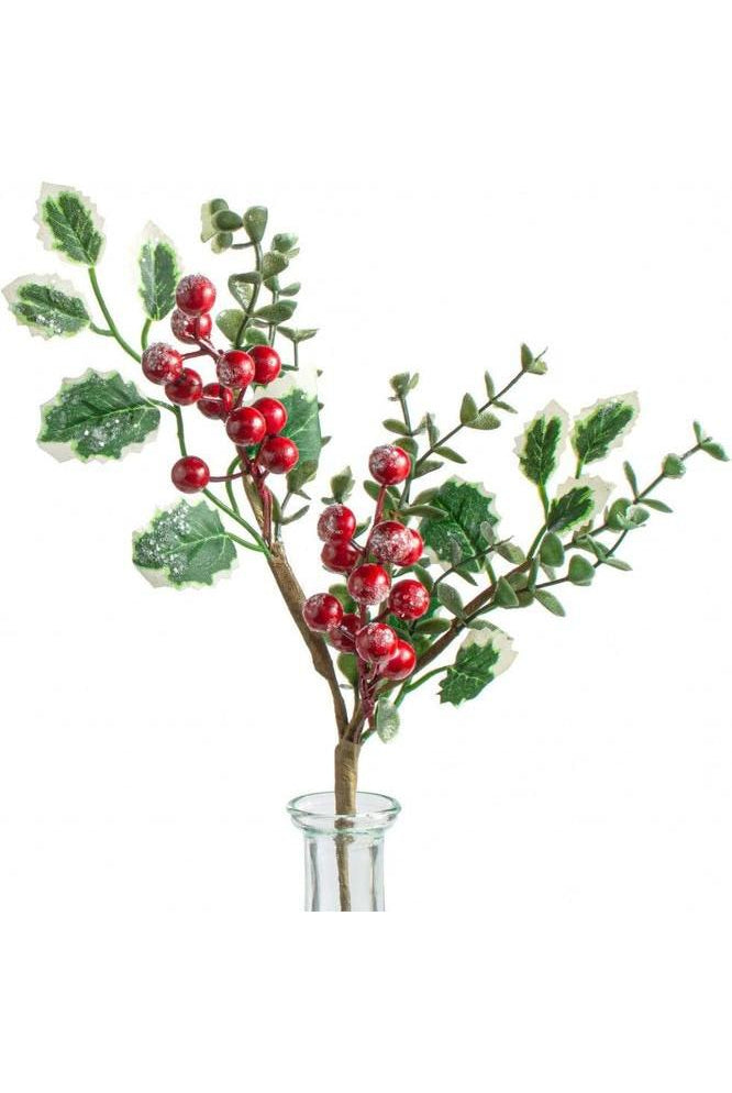 Shop For Snow Berry Holly Pick: Red and Green XX8537