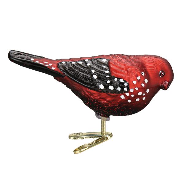 Shop For Strawberry Finch Ornament