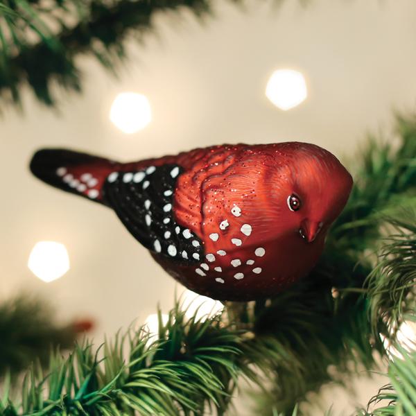 Shop For Strawberry Finch Ornament