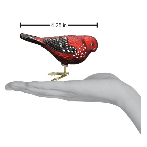 Shop For Strawberry Finch Ornament