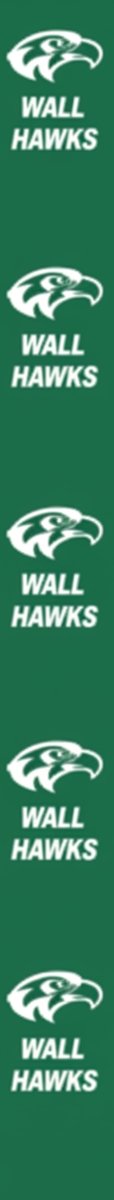Shop For Wall Hawks Homecoming Ribbon: (Green/White), Size 9
