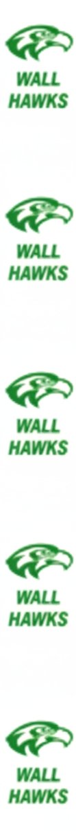 Shop For Wall Hawks Homecoming Ribbon: (White/Green), Size 9