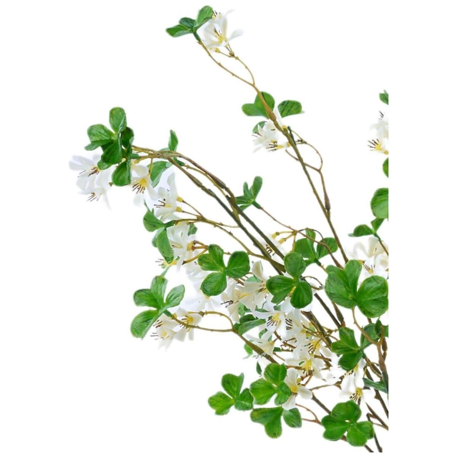Shop For White Flower Clover Leaf Spray at Michelle's aDOORable Creations