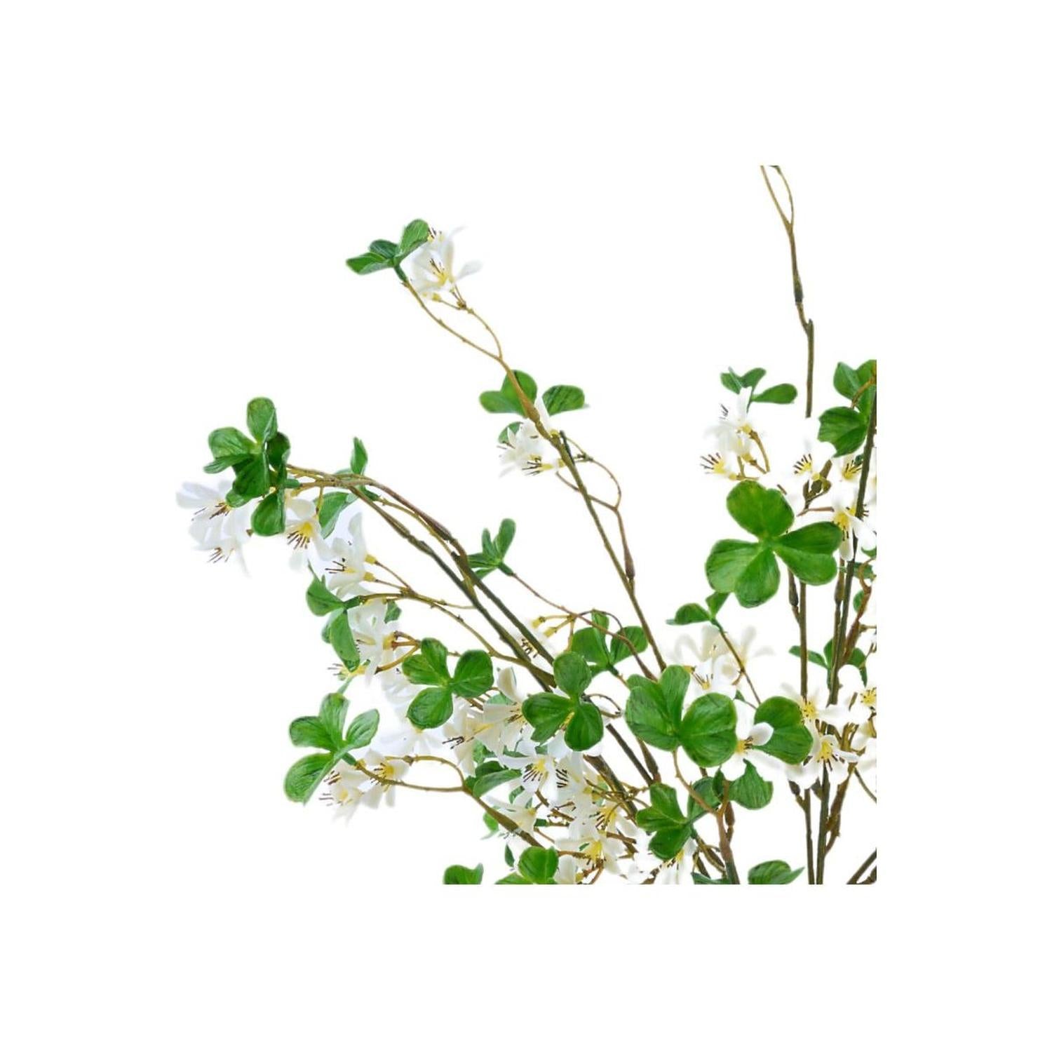 White Flower Clover Leaf Spray