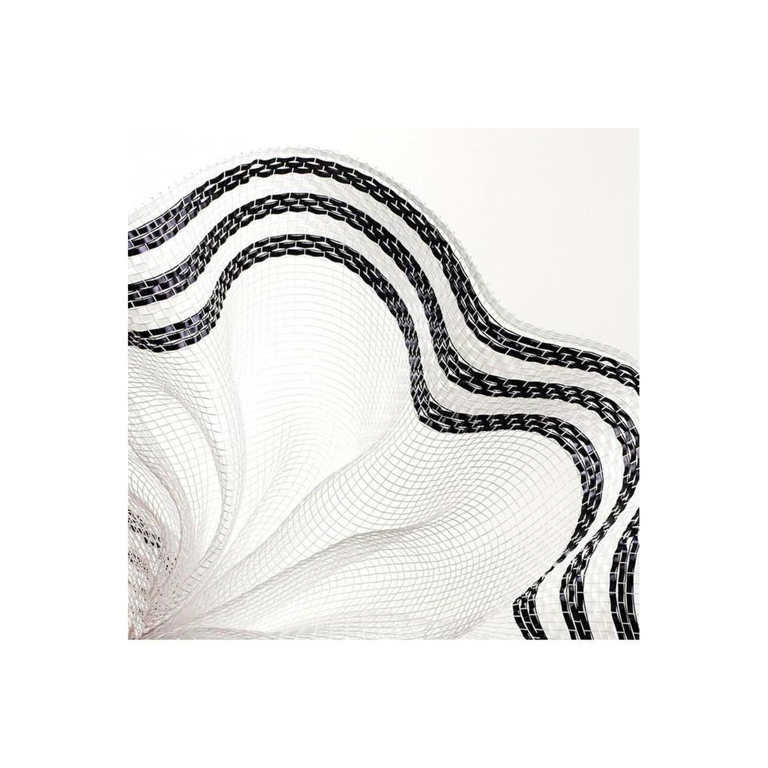 10" Border Stripe Metallic Mesh Ribbon: White/Black (10 Yards)
