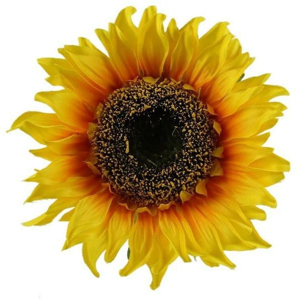 Shop For 11" Sunflower Head at Michelle's aDOORable Creations
