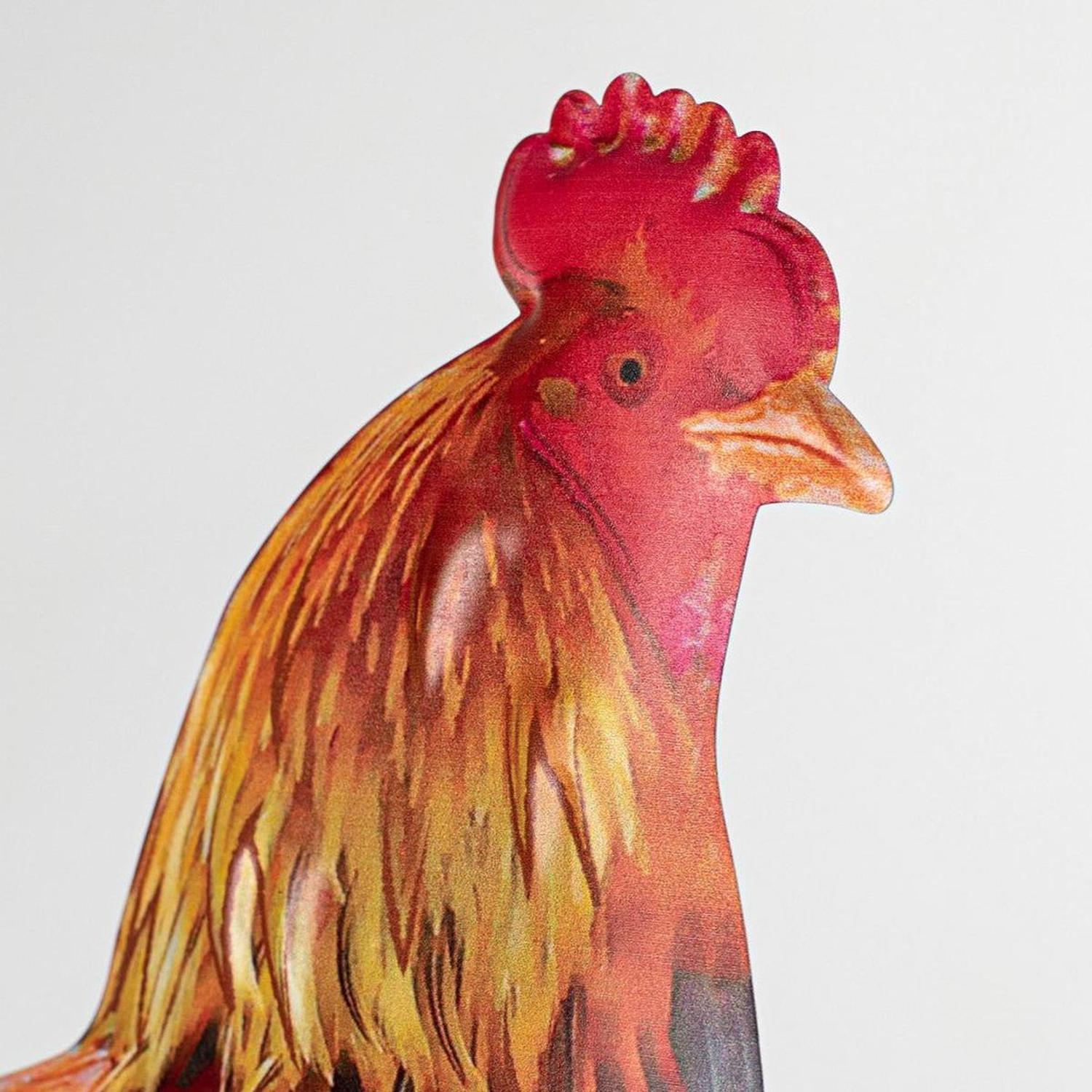 Shop For 12" Metal Rooster Hanger: Multi Color at Michelle's aDOORable Creations