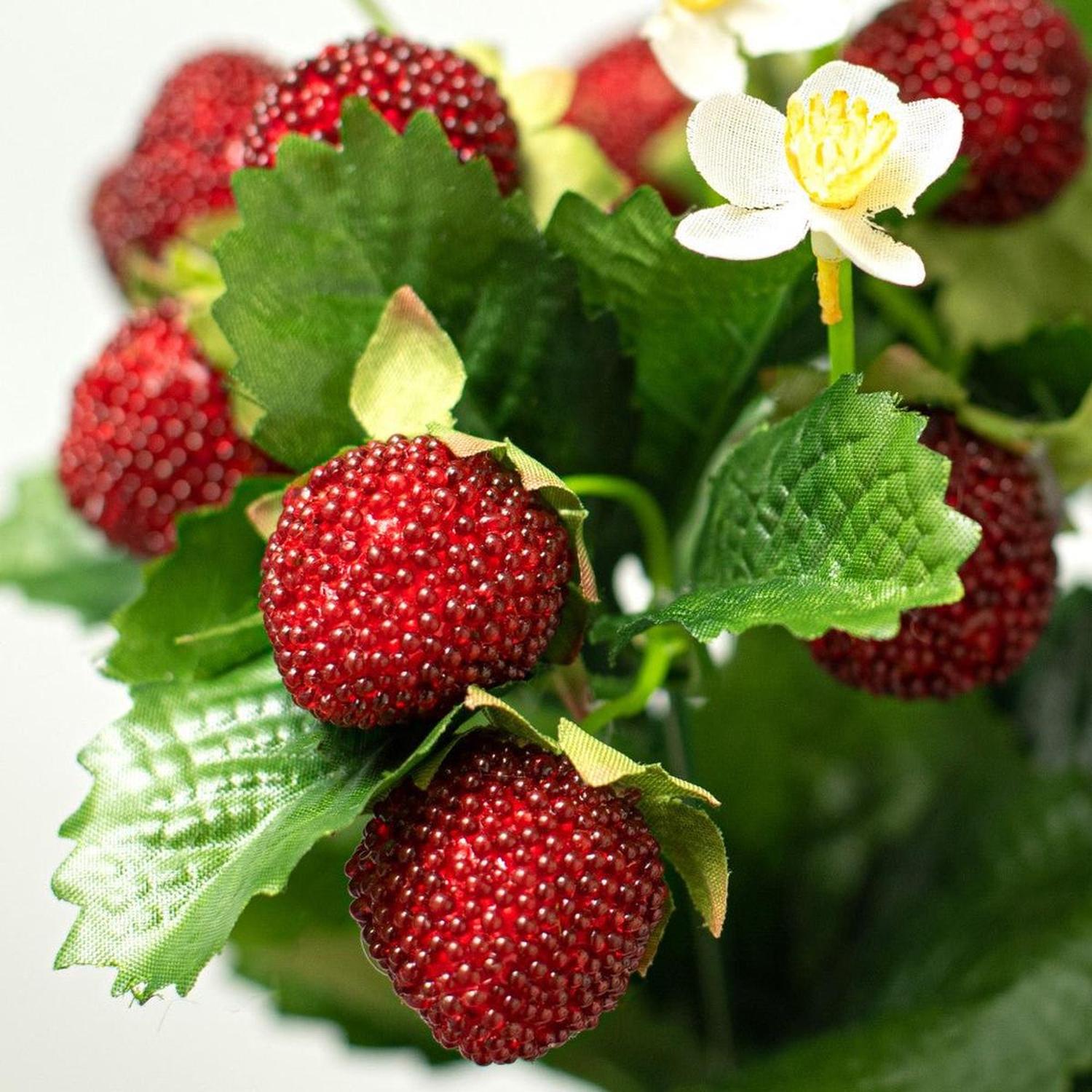 13" Strawberry & Fern Bush