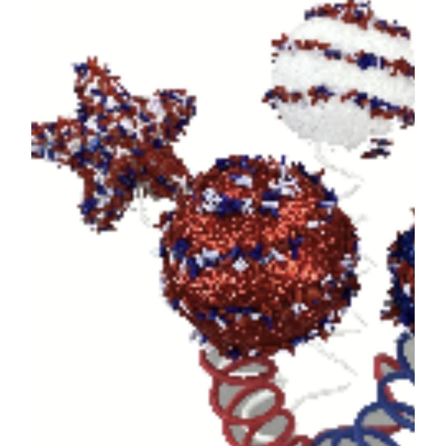 16" Patriotic Cake Pop Spray