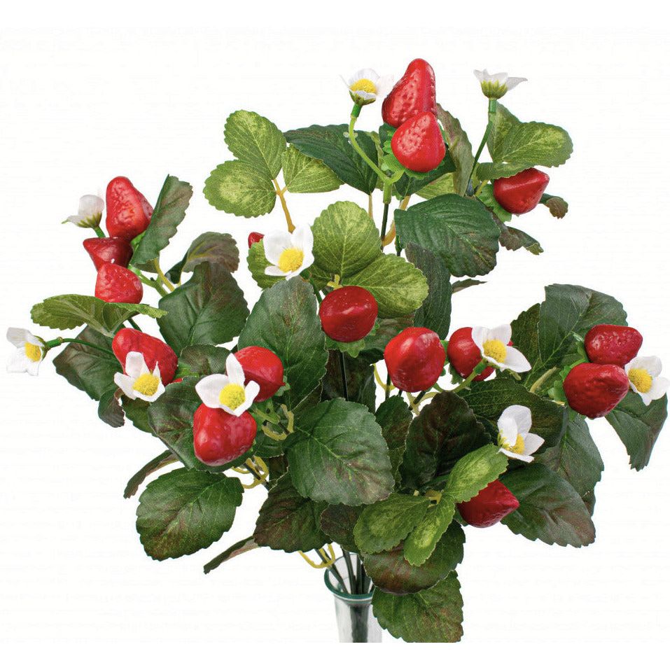 Shop For 17" Strawberry Bush at Michelle's aDOORable Creations