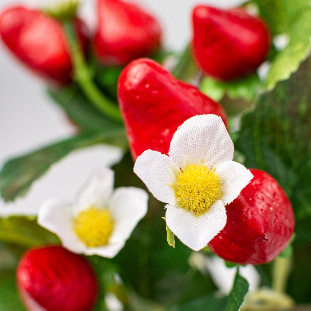 Shop For 17" Strawberry Bush at Michelle's aDOORable Creations