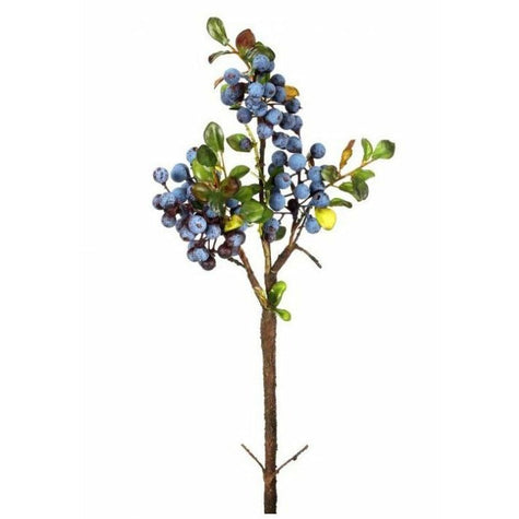 blueberry spray