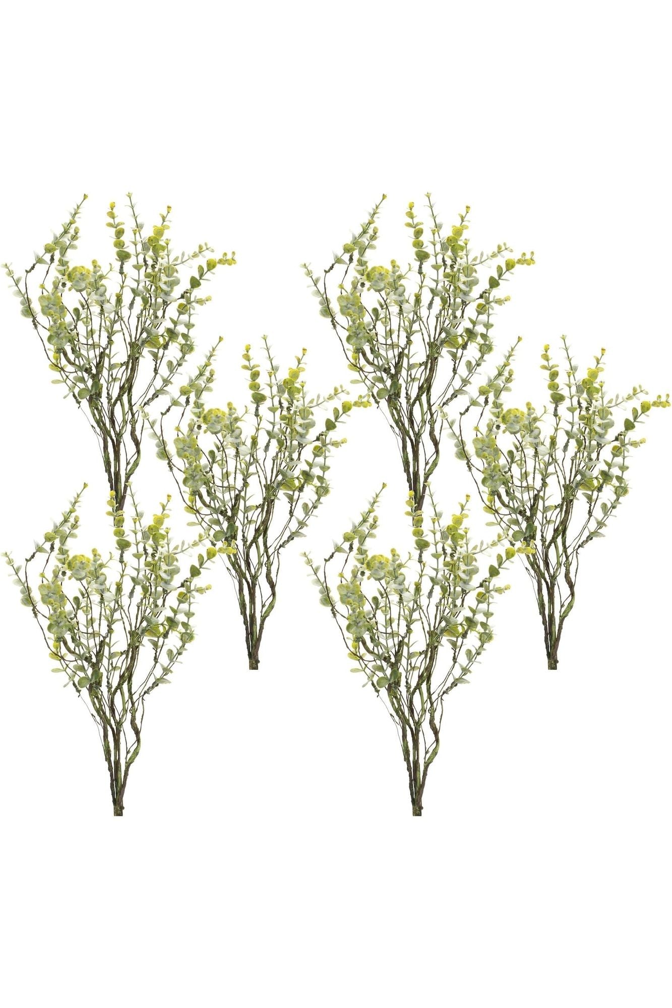 Shop For 18" Boxwood Spray (Set of 6) at Michelle's aDOORable Creations