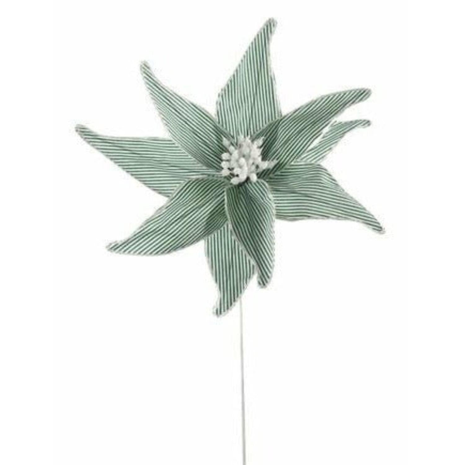 20" Canvas Striped Poinsettia: Dark Green