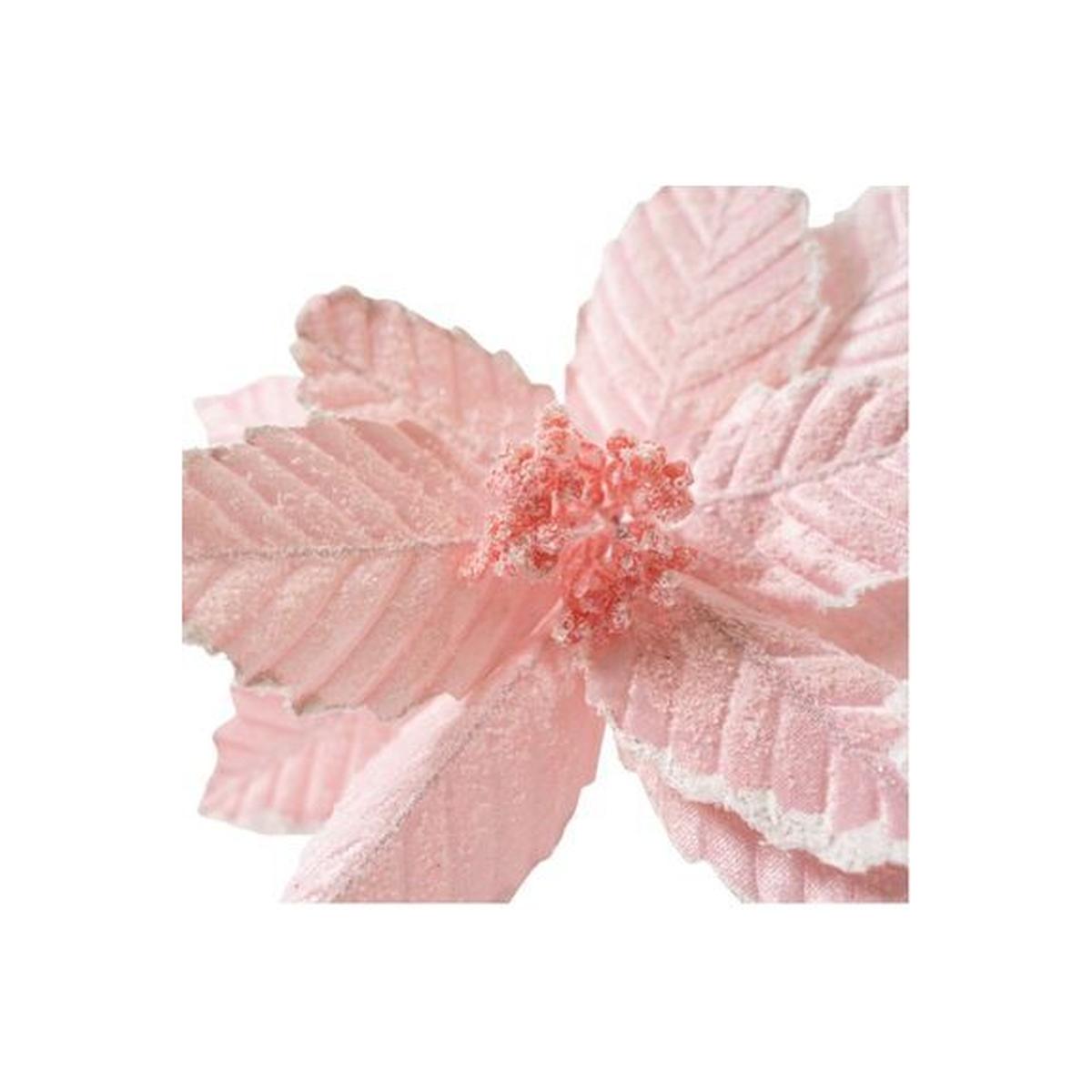 Shop For 20” Pink Sugared Poinsettia Stem at Michelle's aDOORable Creations