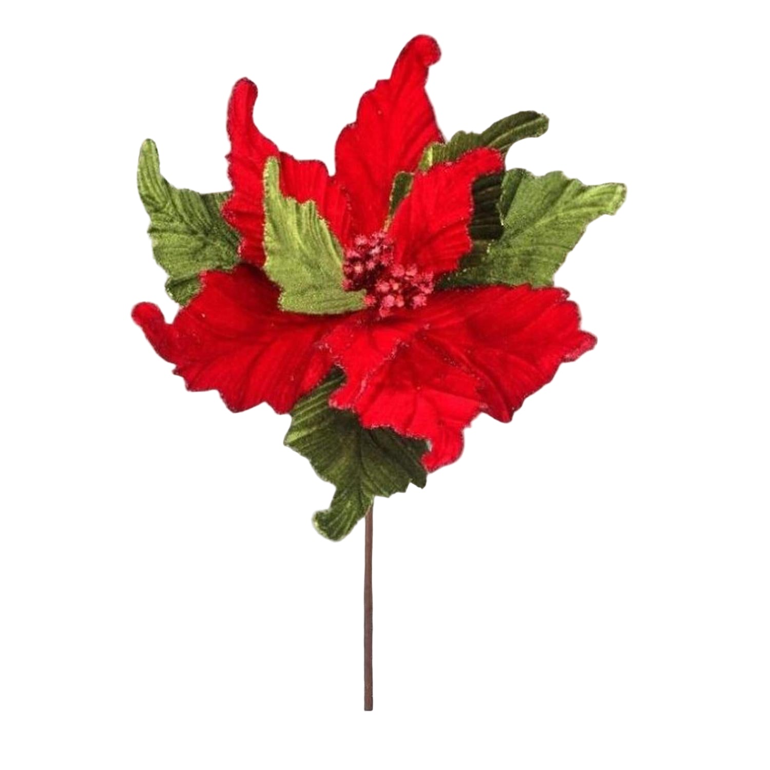 24” Glitter Edge Velvet Poinsettia Stem