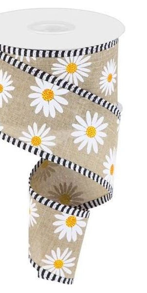 2.5" Daisy Stripe Royal Ribbon: Light Beige (10 Yards) - Michelle's aDOORable Creations - Wired Edge Ribbon
