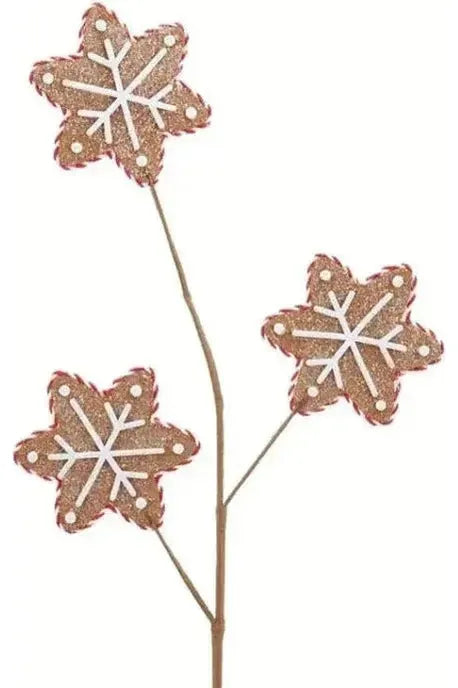 Shop For 28" Gingerbread Star Spray at Michelle's aDOORable Creations