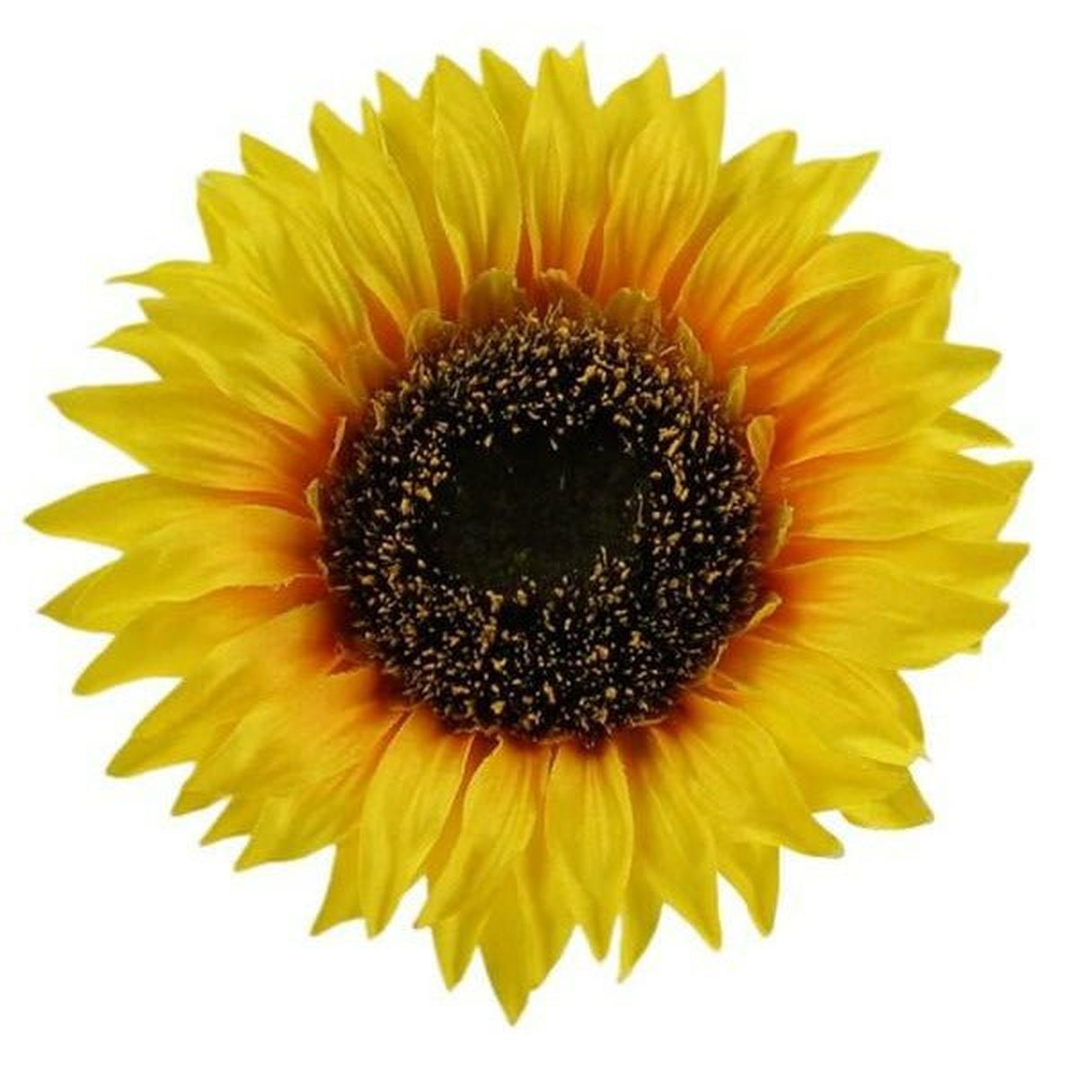 Shop For 5" Sunflower Head at Michelle's aDOORable Creations