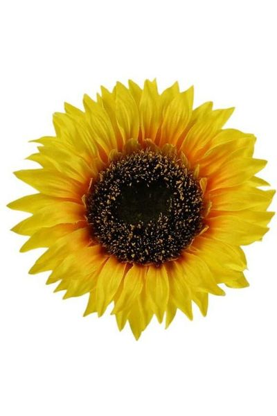 Shop For 5" Sunflower Head FJ5183