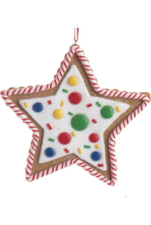 Shop For Cookie With Colorful Candy Ornaments T3341