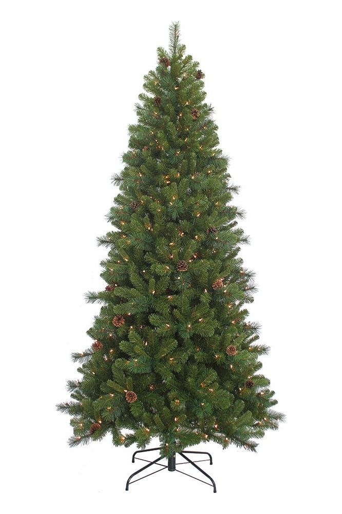 Shop For Kurt Adler 7.5 - Foot Slim Pre - Lit Clear Burlington Tree at Michelle's aDOORable Creations