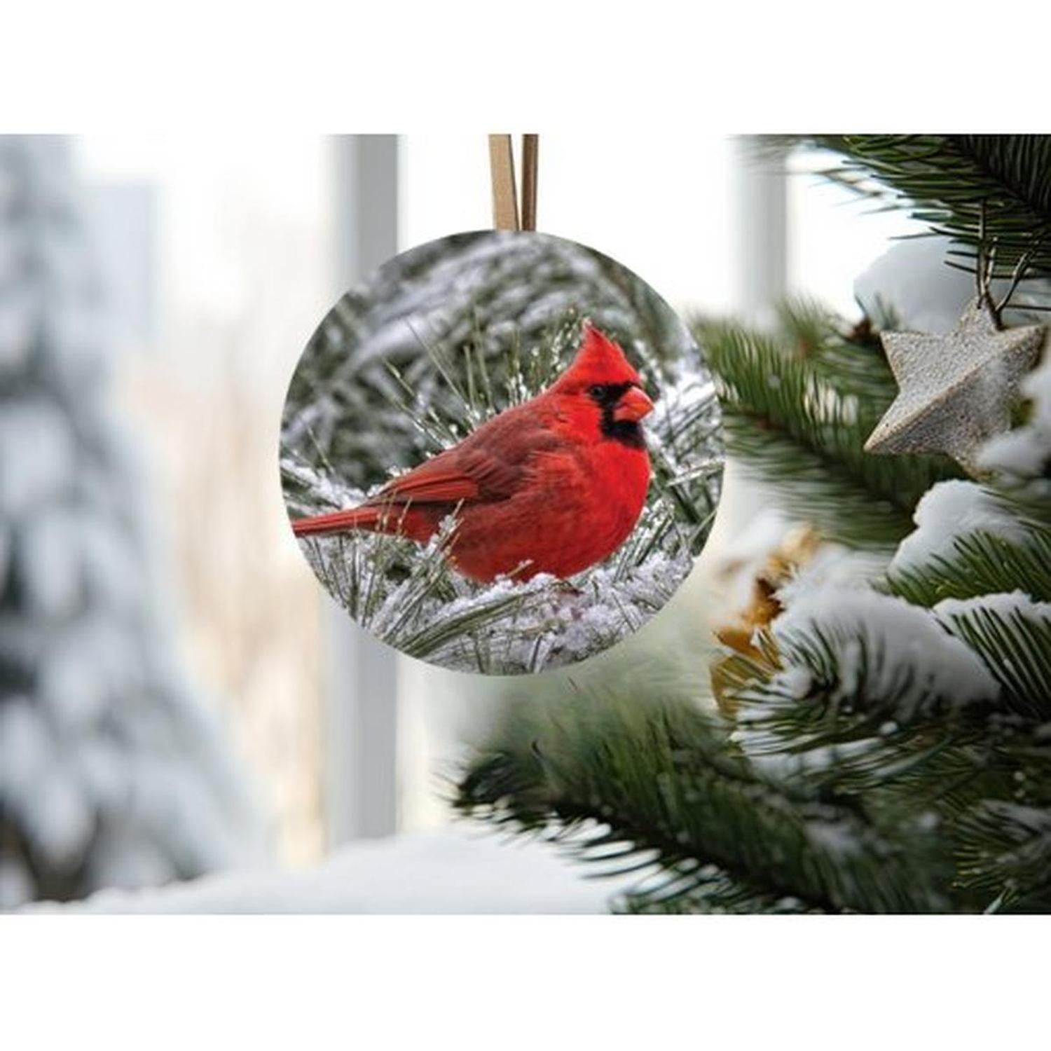 Snowy Branch Cardinal Bird Sign