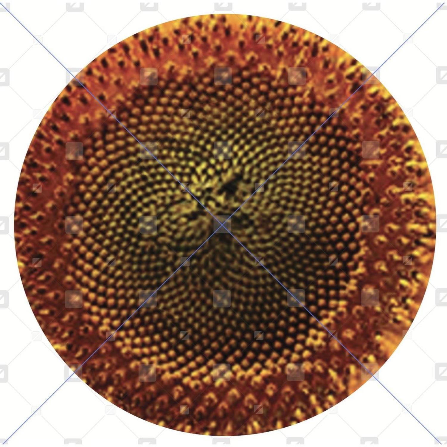 Brown Sunflower Wreath Center