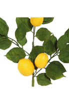 Vickerman 5' Green and Yellow Lemon Garland - Michelle's aDOORable Creations - Garland
