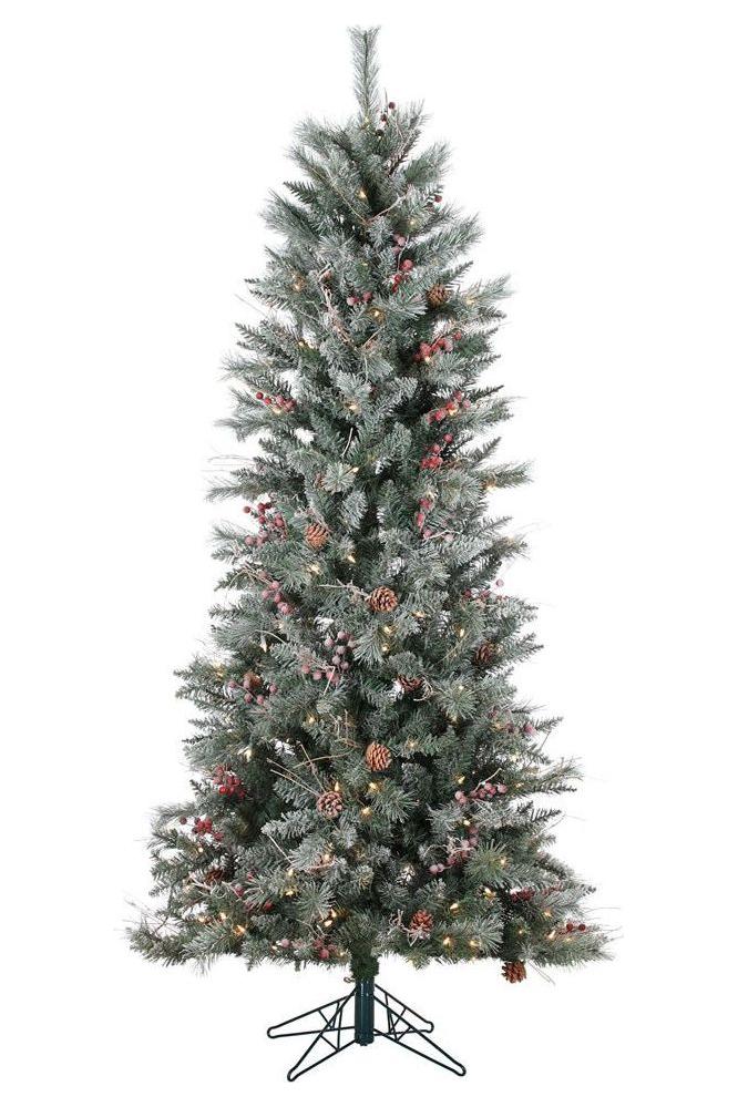 Vickerman 7' Frosted Berry Pine Tree 250CL Lights - Michelle's aDOORable Creations - Christmas Tree