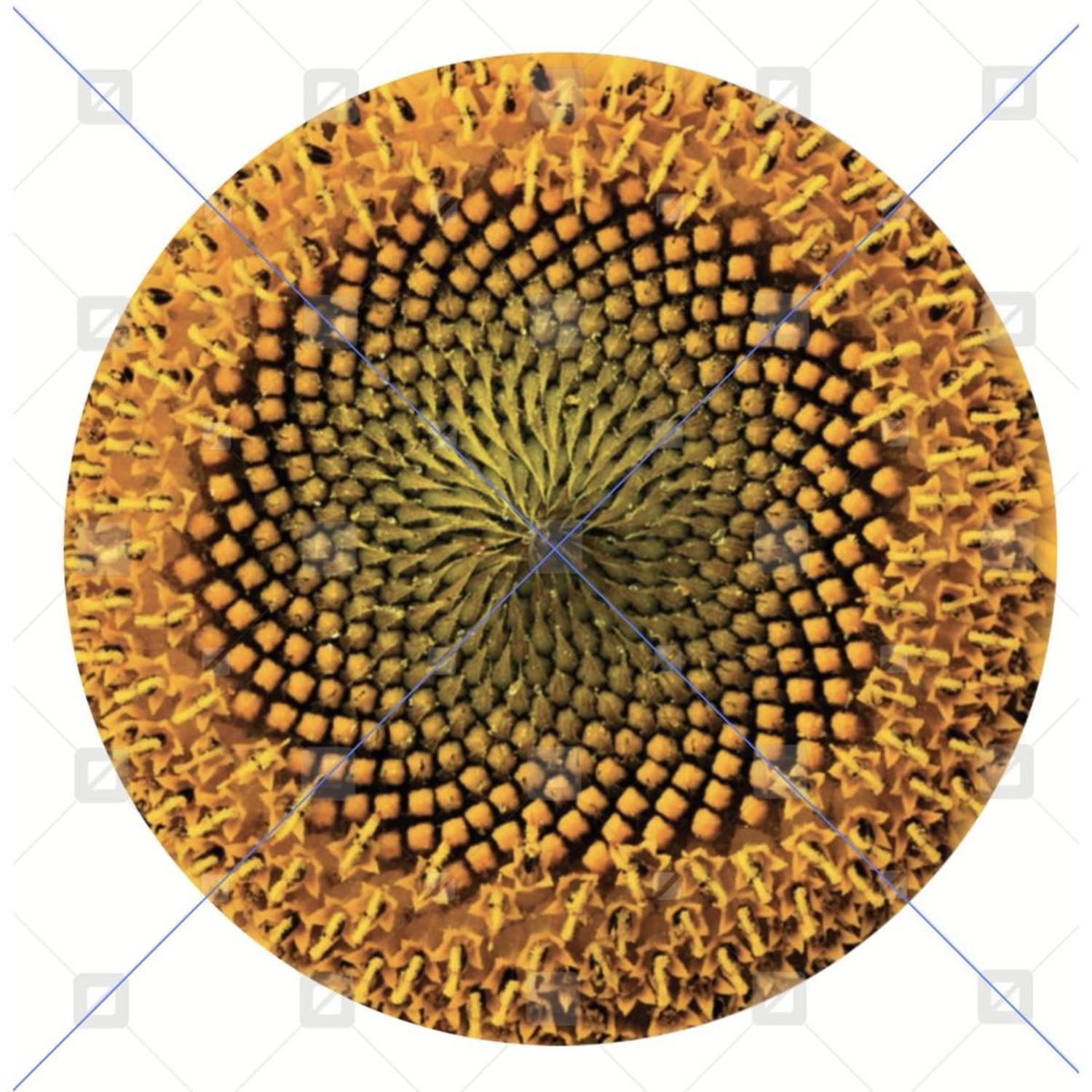 Yellow Sunflower Wreath Center